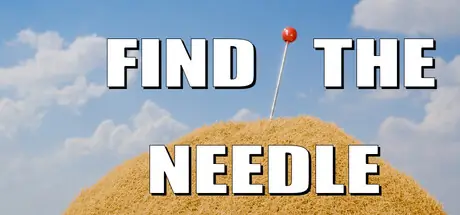 Offizielles Titelbild von Find The Needle