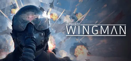 Offizielles Titelbild von Project Wingman